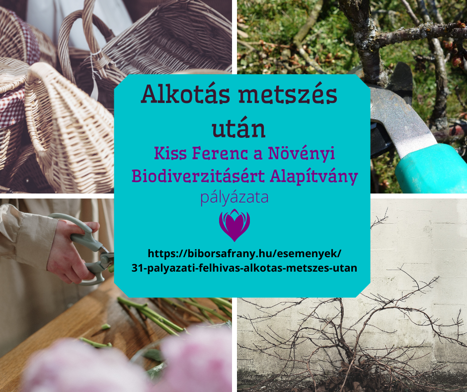 Alkotás metszés után