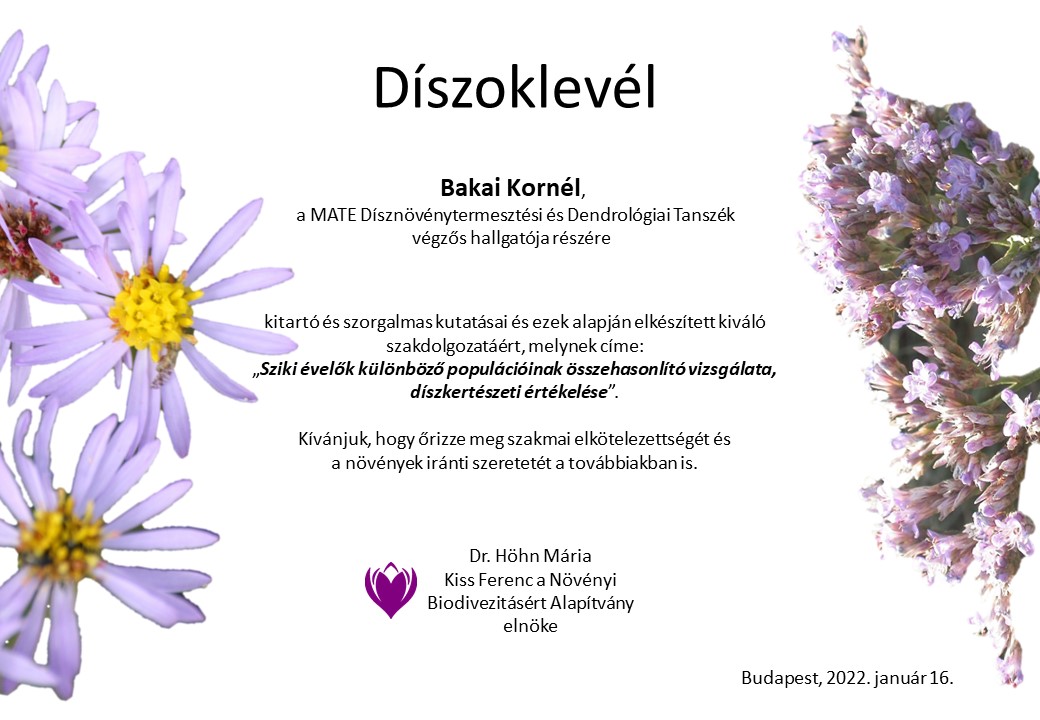 oklevelBakaiKornel KIssFerencNBA