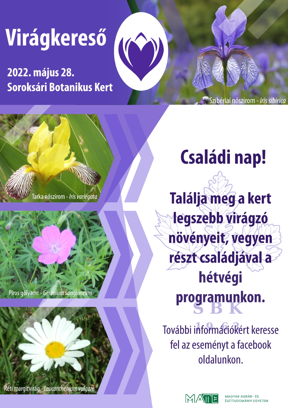 virágkereső szoro1