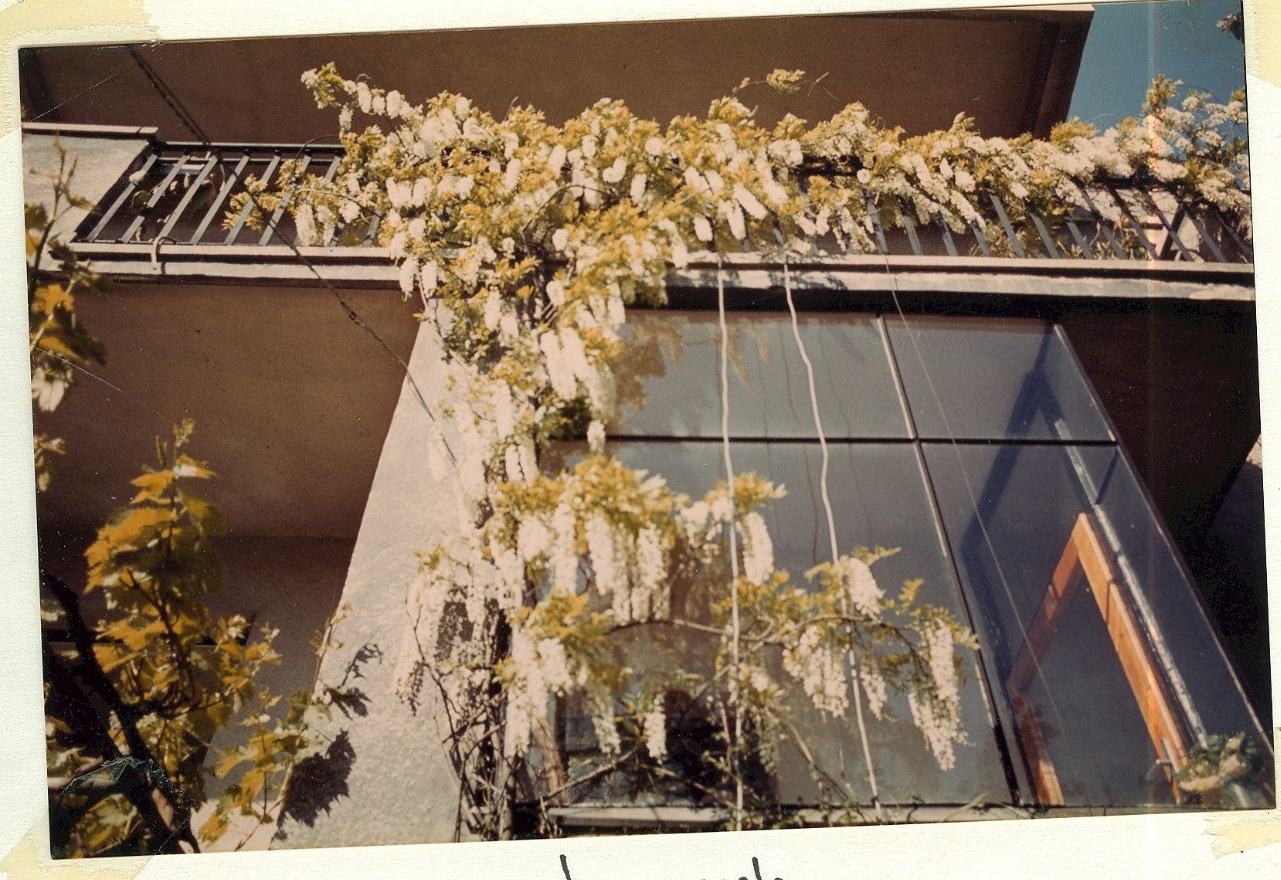 KissF FeherAkac