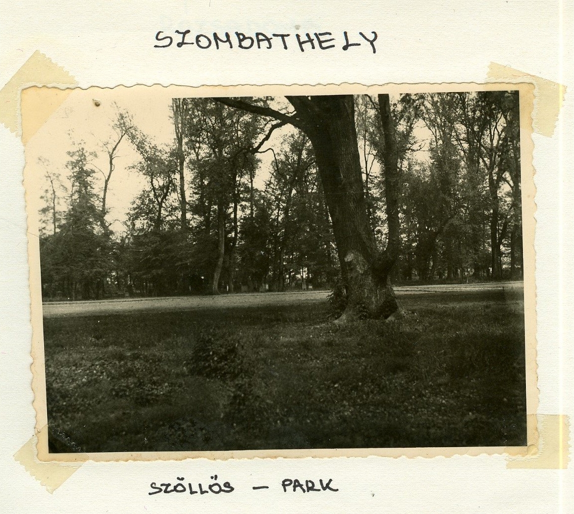 KissF Szombathely SzollosPark