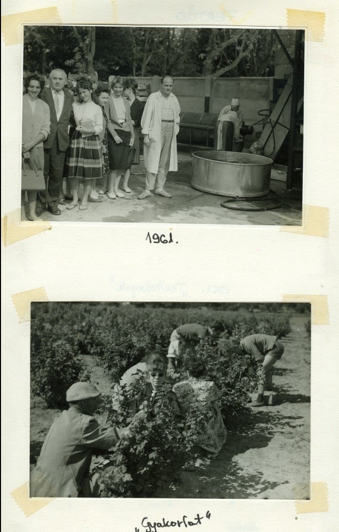 KissF Gyakorlat1961